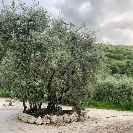 Agriturismo Torre Ercolana 아나니 외부 사진