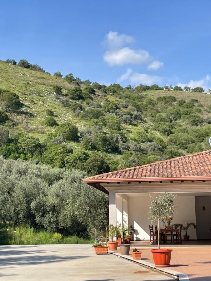 Agriturismo Torre Ercolana 아나니 외부 사진