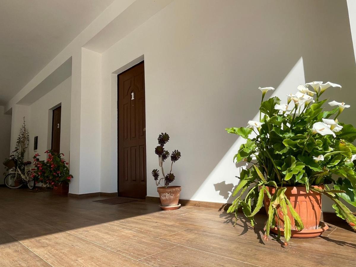 Agriturismo Torre Ercolana 아나니 외부 사진