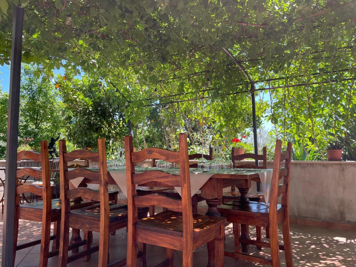 Agriturismo Torre Ercolana 아나니 외부 사진