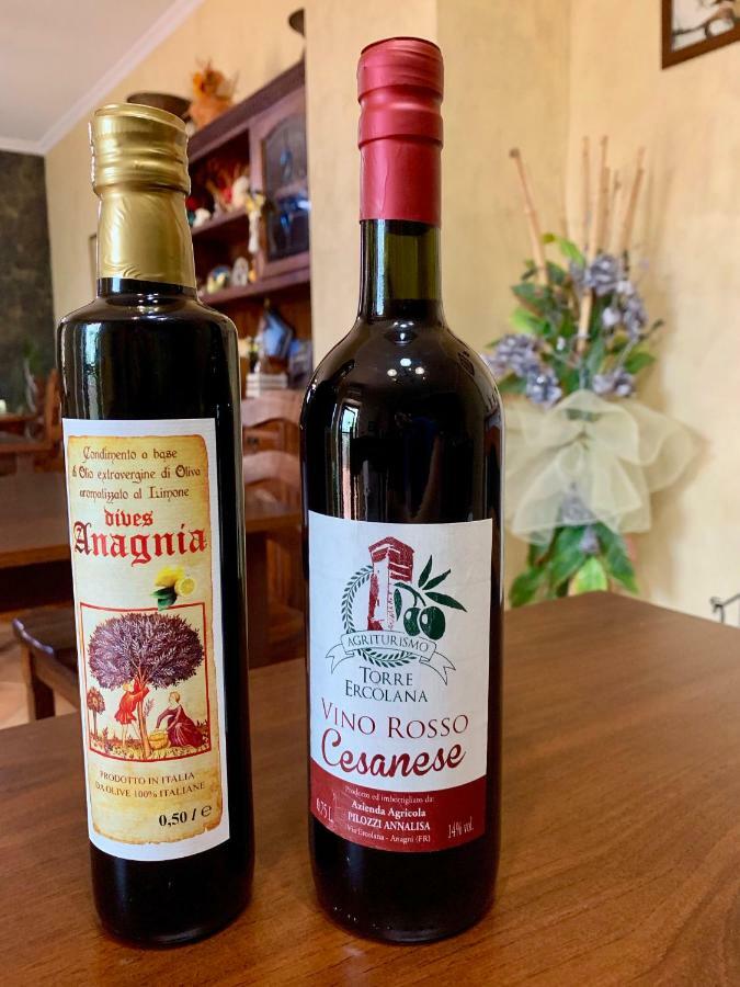 Agriturismo Torre Ercolana 아나니 외부 사진